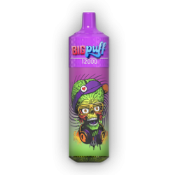 BIG PUFF 12000 SANS...