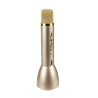 MICRO KARAOKE BLUETOOTH GOLD