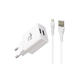 BEE POWER CHARGEUR CABLE...