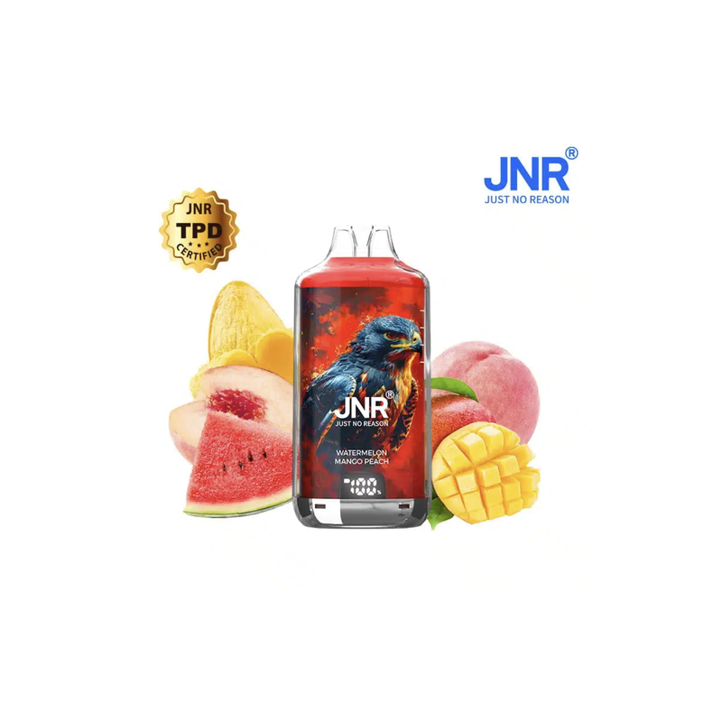 JNR FALCON X 28000 PUFFS WATERMELON MANGO PECHE