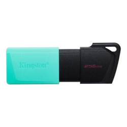 CLE USB KINGSTON 256G USB 3...