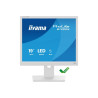 Ecran IIYAMA 19 LED Blanc dalle TN 3ms 5 4 1280x1024 250cd m²