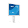 Ecran IIYAMA 19 LED Blanc dalle TN 3ms 5 4 1280x1024 250cd m²