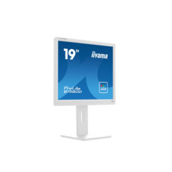 Ecran IIYAMA 19 Blanc LED dalle TN 5 4 1280x1024 5ms 250 cd m