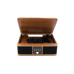 Platine vinyle Halterrego...