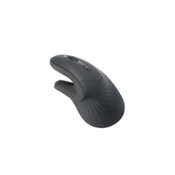 Souris ergonomique WE 2 en...