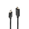 Câble DisplayPort vers HDMI 10 2G 3m