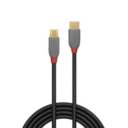 Câble USB 2 0 Type C vers Micro B Anthra Line 1m