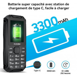 BLACKVIEW N1000 Noir