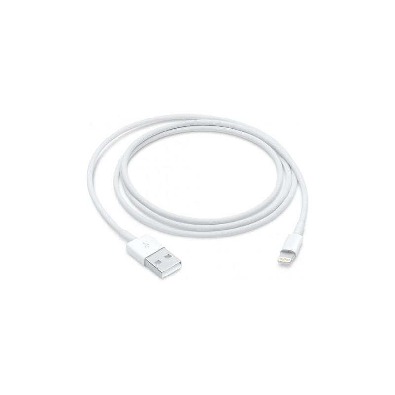 Câble APPLE Lightning vers USB 1m MD818ZM A 
