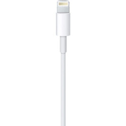 Câble APPLE Lightning vers USB 1m MD818ZM A 