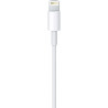 Câble APPLE Lightning vers USB 1m MD818ZM A 
