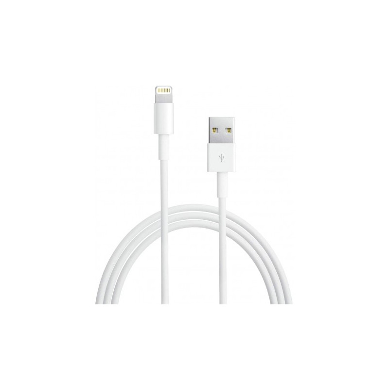 Câble APPLE Lightning vers USB 2m MD819ZM A 