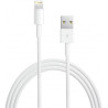 Câble APPLE Lightning vers USB 2m MD819ZM A 