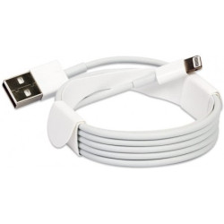 Câble APPLE Lightning vers USB 2m MD819ZM A 