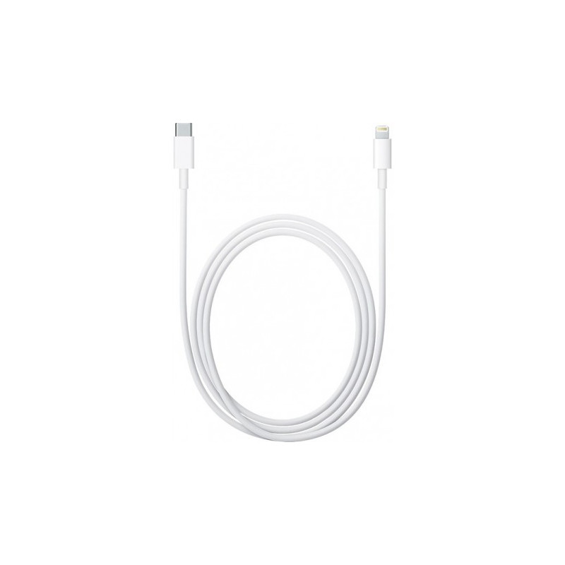 Câble APPLE Lightning vers USB C 1m MQGJ2ZM A 