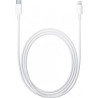 Câble APPLE Lightning vers USB C 1m MQGJ2ZM A 