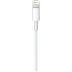 Câble APPLE Lightning vers USB C 1m MQGJ2ZM A 