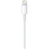 Câble APPLE Lightning vers USB C 1m MQGJ2ZM A 