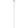 Câble APPLE Lightning vers USB C 1m MQGJ2ZM A 