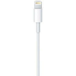 Câble APPLE USB C vers Lightning 2m MKQ42AM A