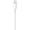 Câble APPLE USB C vers Lightning 2m MKQ42AM A